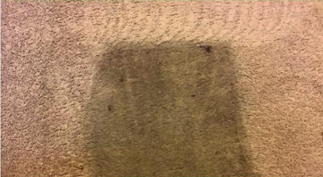 Commercial carpet cleaning results